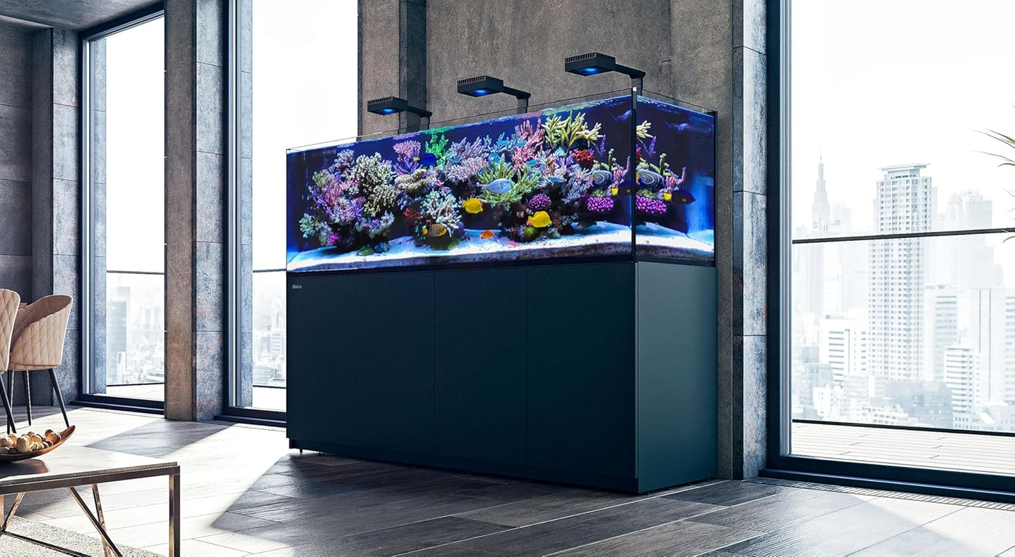 Red Sea Reef Foundation B Alkalinity (KH) Supplement, 5 L - Boosts Carbonate Levels for Strong Coral Skeletons in Reef & Marine Aquariums