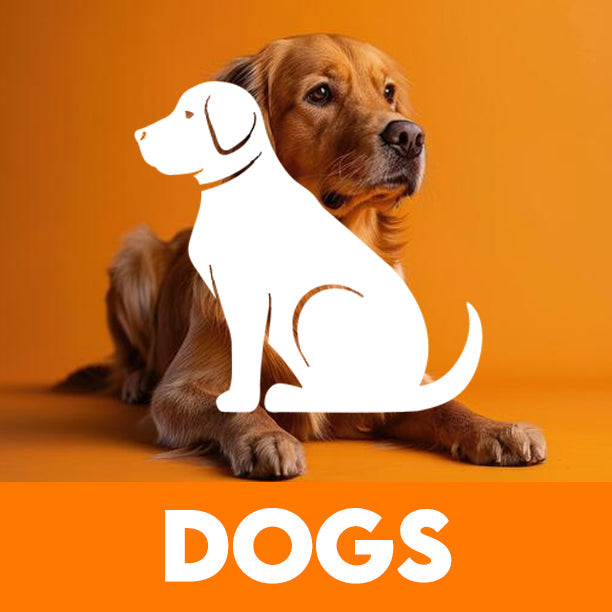 Dogs