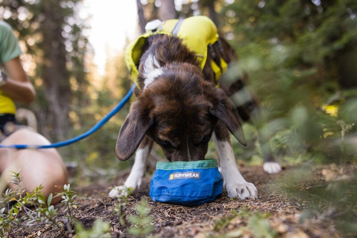 Ruffwear, Trail Runner Collapsible Dog Bowl, Ultralight Packable Water Bowl, Waterproof Coated Fabric, Packs Into Its Own Pocket, Pocket‑Friendly for On-the-Go Hydration, 4.2 Cups (1 L), Blue Pool