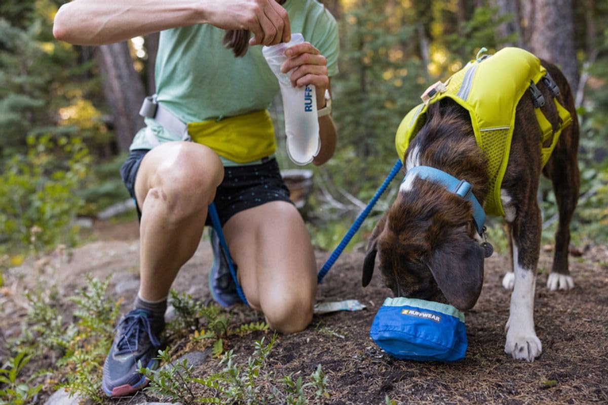 Ruffwear, Trail Runner Collapsible Dog Bowl, Ultralight Packable Water Bowl, Waterproof Coated Fabric, Packs Into Its Own Pocket, Pocket‑Friendly for On-the-Go Hydration, 4.2 Cups (1 L), Blue Pool