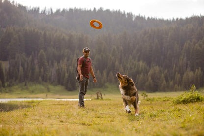 Ruffwear, Hydro Plane Dog Flying Disc, Soft Buoyant Foam Floating Fetch Toy, Lightweight Interactive Water & Snow Toy, Gentle on Teeth, Durable Year-Round Outdoor Play, Biolumin Blue, 9", Medium