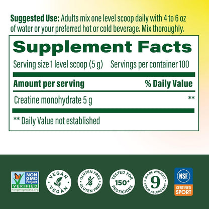 MegaFood Micronized Creatine Monohydrate Powder - Unflavored Post & Pre Workout Powder for Men & Women - Cognitive & Exercise Performance Support - NSF Certified for Sport- 500 Grams, 100 Servings