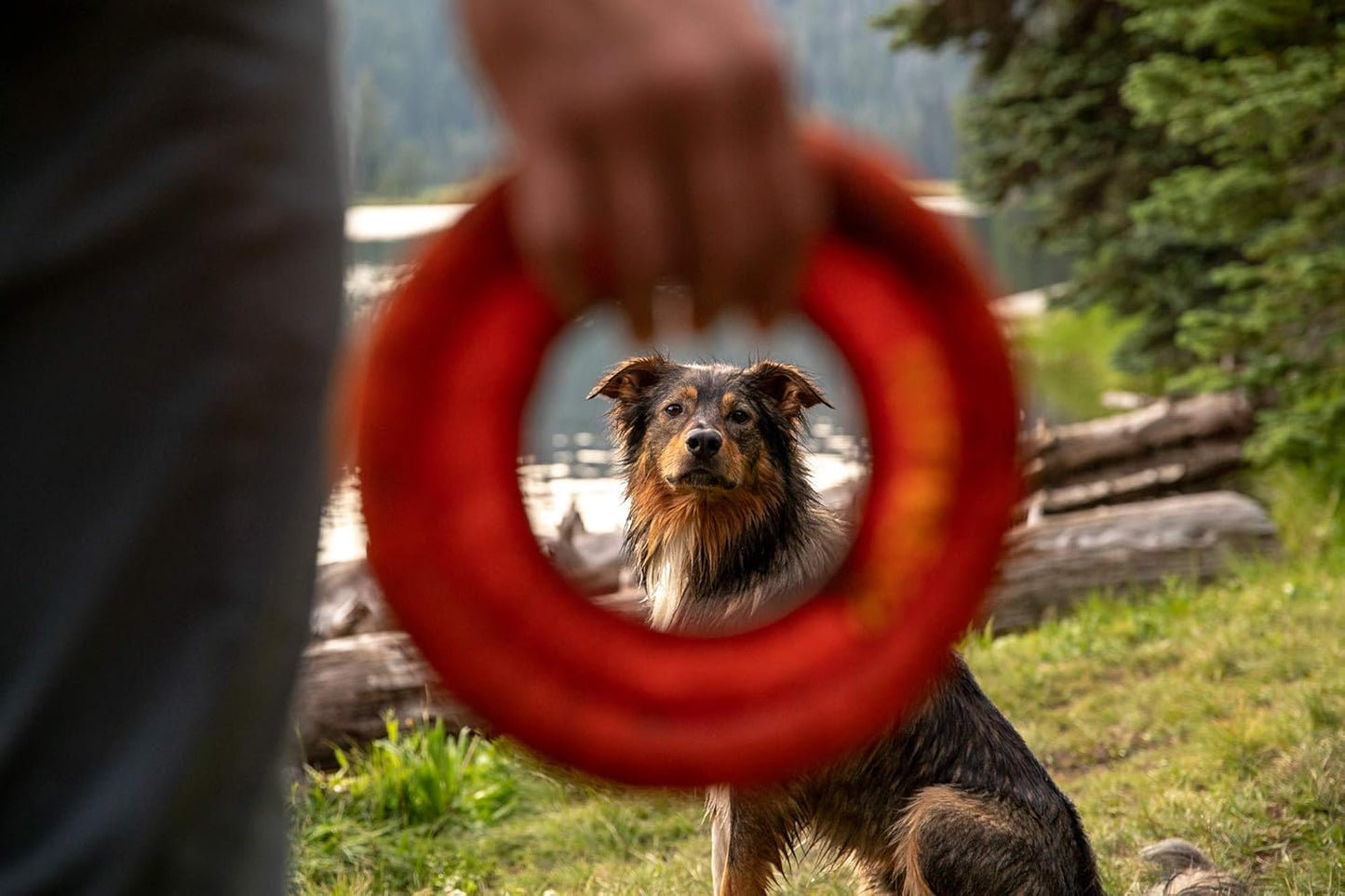 Ruffwear, Hydro Plane Dog Flying Disc, Soft Buoyant Foam Floating Fetch Toy, Lightweight Interactive Water & Snow Toy, Gentle on Teeth, Durable Year-Round Outdoor Play, Biolumin Blue, 9", Medium