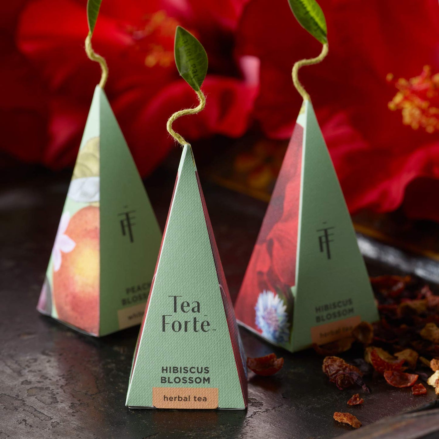 Tea Forte Premium Petite Presentation Box Gift Set Sampler, 10 Count, 2 of Each Blend Individually Wrapped Handcrafted Pyramid Infuser Bags, Fleur Tea