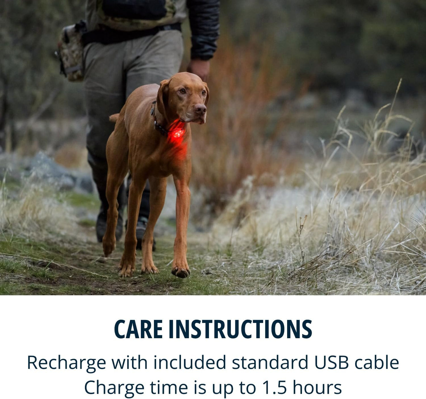 Ruffwear, Beacon Safety Light for Dogs, Clear Lake