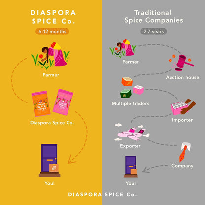 Diaspora Spice Co. Popcorn Seasoning – Gourmet Spice Blend for Popcorn, Snacks & Movie Night – Fresh, Single-Origin Spice blend with Chili, Turmeric & Garlic