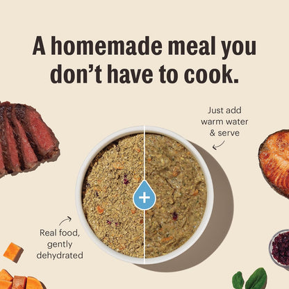 The Honest Kitchen Human Grade Wholemade™ Dehydrated Dog Food, Whole Grain Beef & Salmon, 10 lb (makes 40lbs)