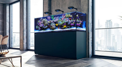Red Sea Reef Foundation B Alkalinity (KH) Supplement, 5 L - Boosts Carbonate Levels for Strong Coral Skeletons in Reef & Marine Aquariums