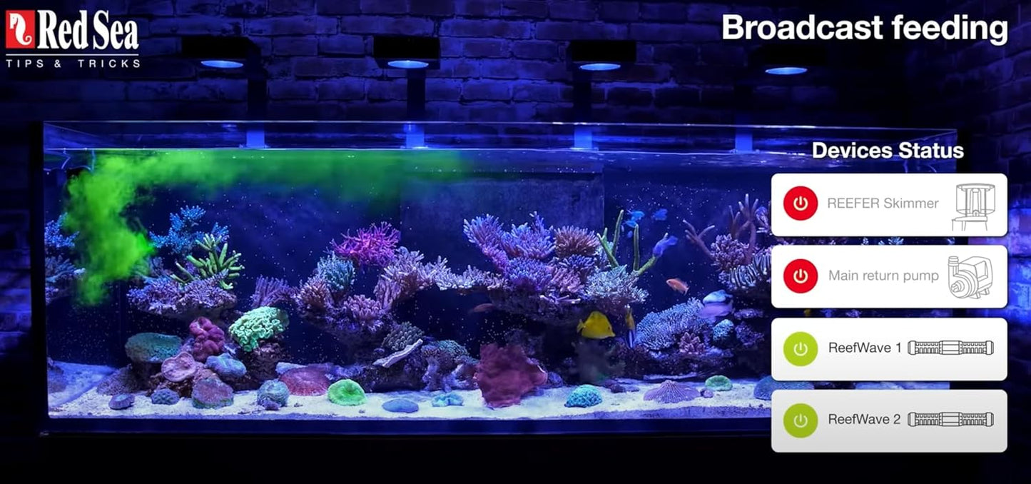 Red Sea Reef Energy Plus 250ml (AB+) All in One Coral Food for Saltwater Aquarium Marine Reef Tanks | Food for Soft, LPS, SPS, and Non-Photosynthetic Corals