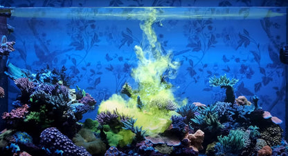 Red Sea Reef Energy Plus 250ml (AB+) All in One Coral Food for Saltwater Aquarium Marine Reef Tanks | Food for Soft, LPS, SPS, and Non-Photosynthetic Corals
