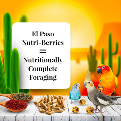 LAFEBER'S El Paso Nutri-Berries Pet Bird Food, Made with Non-GMO and Human-Grade Ingredients, for Small Birds, 10oz (Pack of 2)