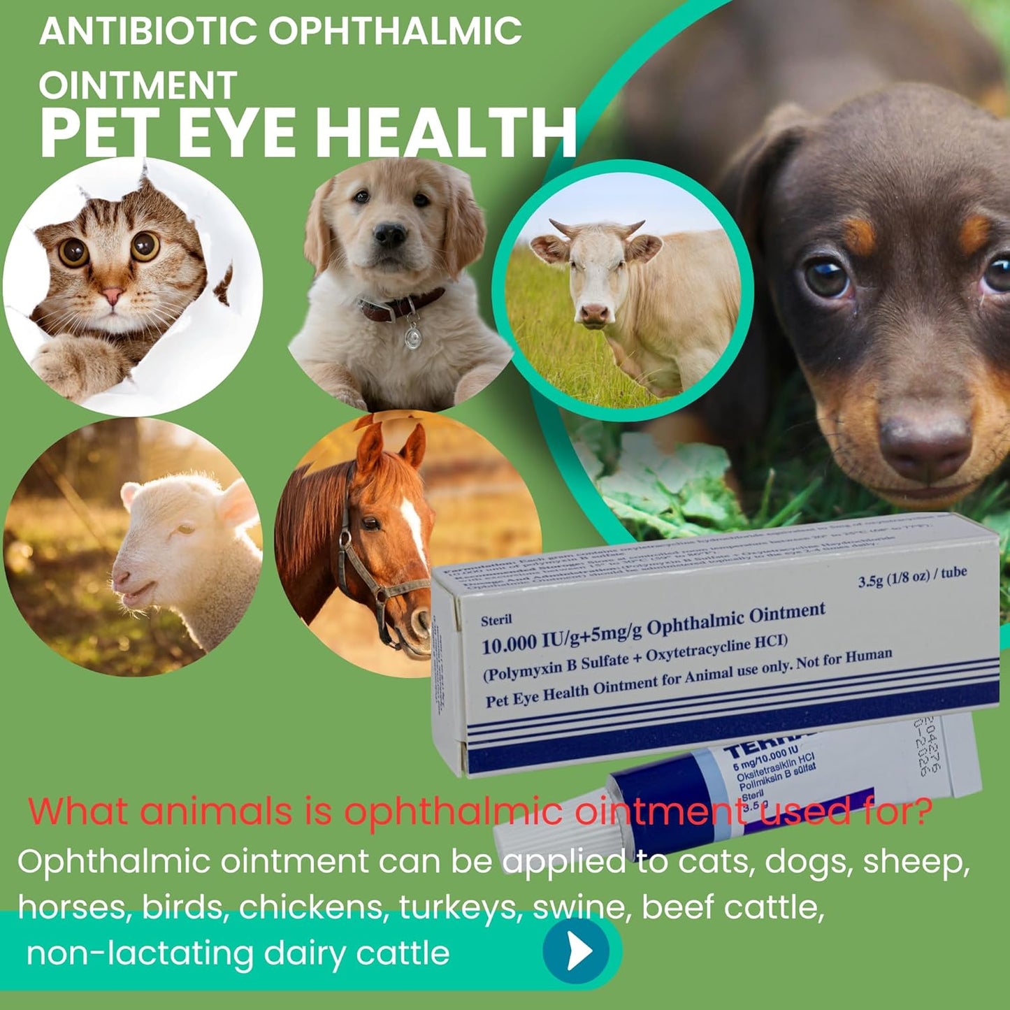 Pet Eye Health Ointment for Dogs, Cats, Cattle, Sheep, Horses, Birds and Puppies, Kittens 1/8 oz /3.5gr - 1 Tube