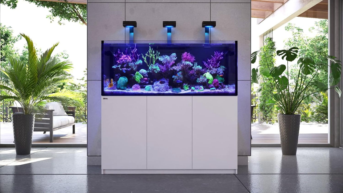 Red Sea Reef Foundation B Alkalinity (KH) Supplement, 5 L - Boosts Carbonate Levels for Strong Coral Skeletons in Reef & Marine Aquariums