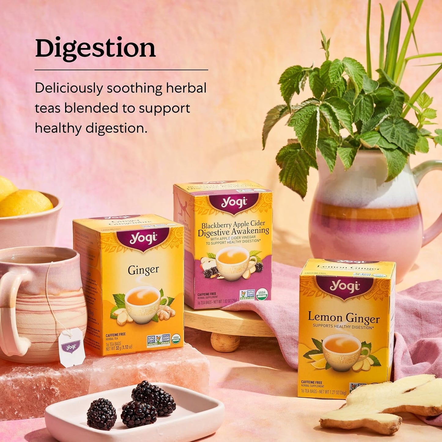 Yogi Tea Ginger - 16 Bags per Pack (4 Packs) - Organic Digestive Support Tea - Includes Ginger Root, Lemongrass, Licorice Root, Peppermint Leaf & Black Pepper