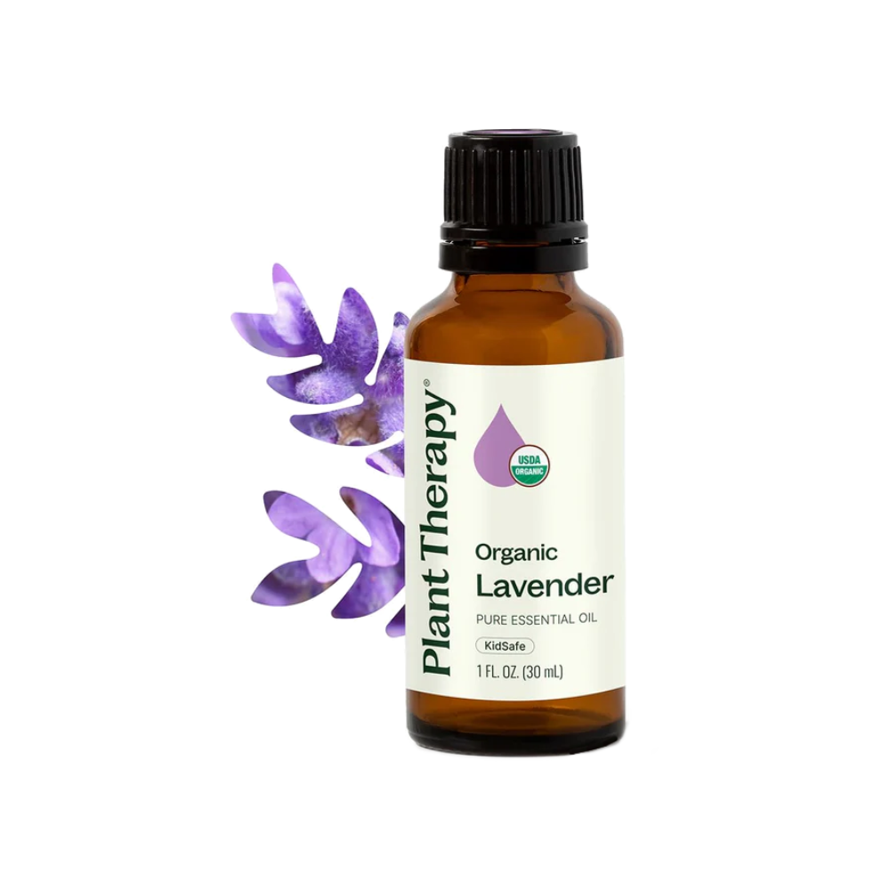 Plant Therapy Organic Lavender Essential Oil 100% Pure, USDA Certified Organic, Undiluted, Natural Aromatherapy for Diffusion & Topical Use, For Skin, Hair, Relaxation, Premium Therapeutic Grade 30 mL